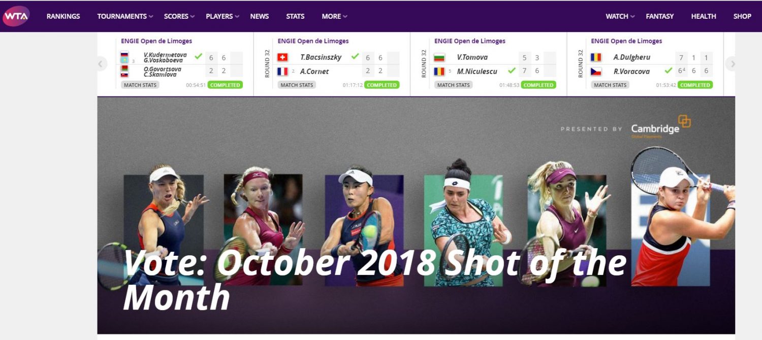 WTA Professionals website