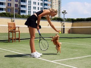 Tennis Distractions